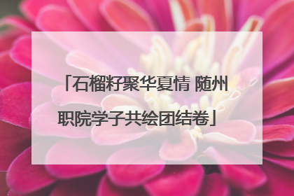 石榴籽聚华夏情 随州职院学子共绘团结卷