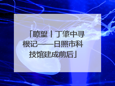 瞭望丨丁肇中寻根记——日照市科技馆建成前后