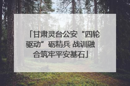 甘肃灵台公安“四轮驱动”砺精兵 战训融合筑牢平安基石