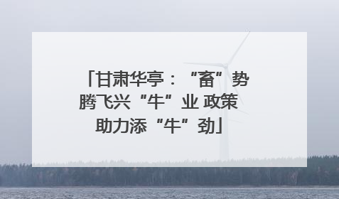 甘肃华亭：“畜”势腾飞兴“牛”业 政策助力添“牛”劲