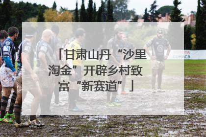 甘肃山丹“沙里淘金”开辟乡村致富“新赛道”