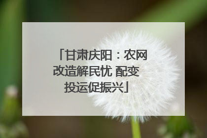 甘肃庆阳：农网改造解民忧 配变投运促振兴