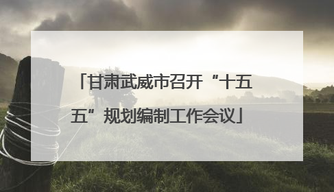 甘肃武威市召开“十五五”规划编制工作会议