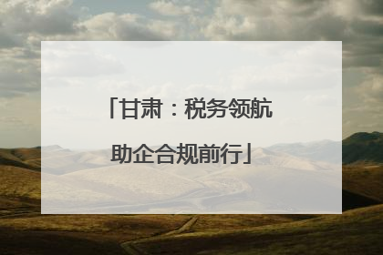 甘肃：税务领航 助企合规前行