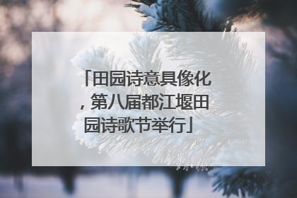 田园诗意具像化，第八届都江堰田园诗歌节举行