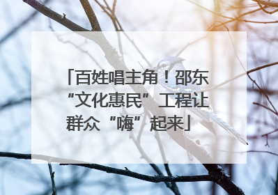 百姓唱主角！邵东“文化惠民”工程让群众“嗨”起来
