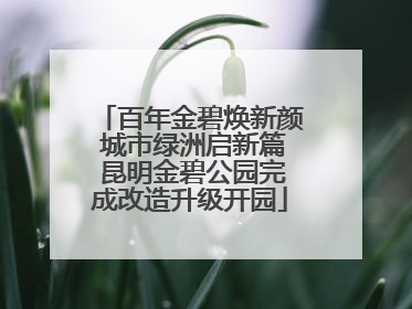 百年金碧焕新颜 城市绿洲启新篇 昆明金碧公园完成改造升级开园