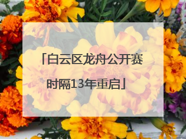白云区龙舟公开赛时隔13年重启