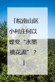 皖南山区小村庄何以蝶变“水墨桃花源”？