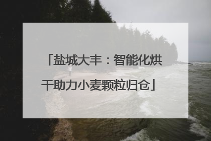 盐城大丰：智能化烘干助力小麦颗粒归仓