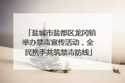 盐城市盐都区龙冈镇举办禁毒宣传活动，全民携手共筑禁毒防线