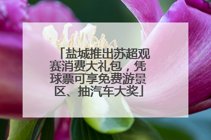 盐城推出苏超观赛消费大礼包，凭球票可享免费游景区、抽汽车大奖