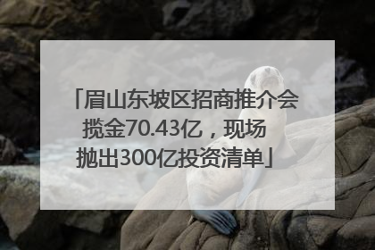 眉山东坡区招商推介会揽金70.43亿，现场抛出300亿投资清单