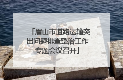 眉山市道路运输突出问题排查整治工作专题会议召开