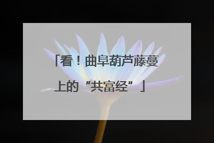 看！曲阜葫芦藤蔓上的“共富经”