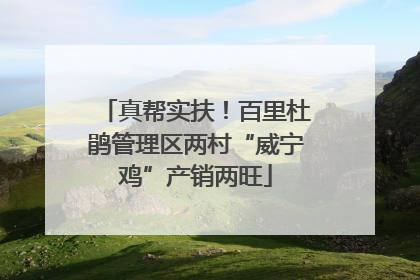 真帮实扶！百里杜鹃管理区两村“威宁鸡”产销两旺