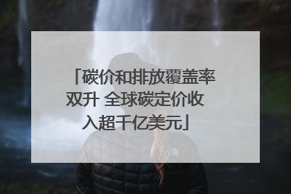 碳价和排放覆盖率双升 全球碳定价收入超千亿美元