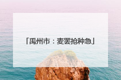 禹州市：麦罢抢种急