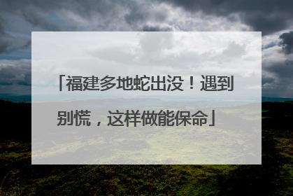 福建多地蛇出没！遇到别慌，这样做能保命