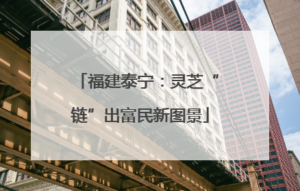 福建泰宁：灵芝“链”出富民新图景