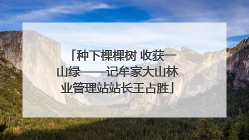 种下棵棵树 收获一山绿——记牟家大山林业管理站站长王占胜