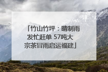 竹山竹坪：晴制雨发忙赶单 57吨大宗茶冒雨启运福建