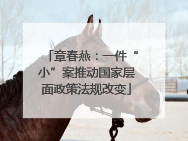 章春燕：一件“小”案推动国家层面政策法规改变
