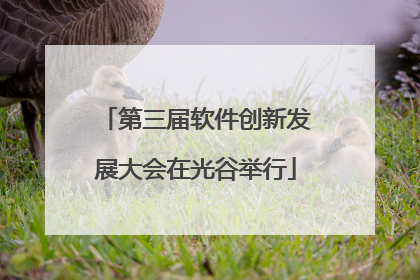 第三届软件创新发展大会在光谷举行