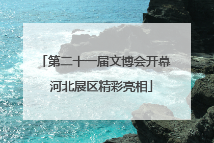 第二十一届文博会开幕 河北展区精彩亮相