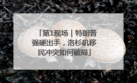 第1现场｜特朗普强硬出手，洛杉矶移民冲突如何破局