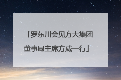 罗东川会见方大集团董事局主席方威一行
