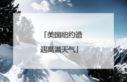 美国纽约遭遇高温天气