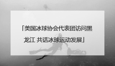美国冰球协会代表团访问黑龙江 共话冰球运动发展