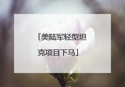 美陆军轻型坦克项目下马