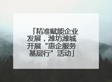 精准赋能企业发展，潍坊潍城开展“惠企服务基层行”活动
