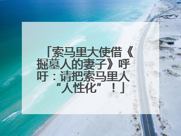 索马里大使借《掘墓人的妻子》呼吁：请把索马里人“人性化”！