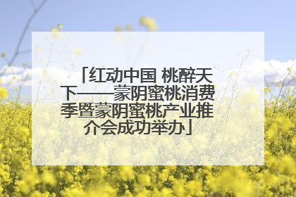 红动中国 桃醉天下——蒙阴蜜桃消费季暨蒙阴蜜桃产业推介会成功举办