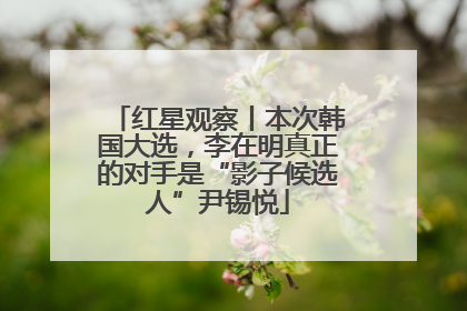 红星观察丨本次韩国大选，李在明真正的对手是“影子候选人”尹锡悦