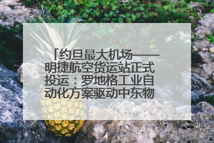 约旦最大机场——明捷航空货运站正式投运：罗地格工业自动化方案驱动中东物流未来新航向