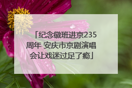 纪念徽班进京235周年 安庆市京剧演唱会让戏迷过足了瘾