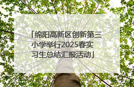 绵阳高新区创新第三小学举行2025春实习生总结汇报活动