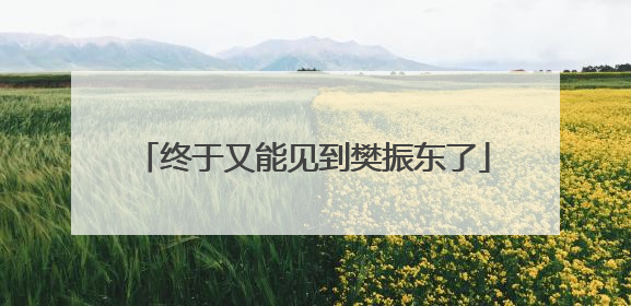 终于又能见到樊振东了