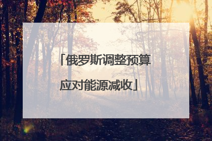 俄罗斯调整预算应对能源减收