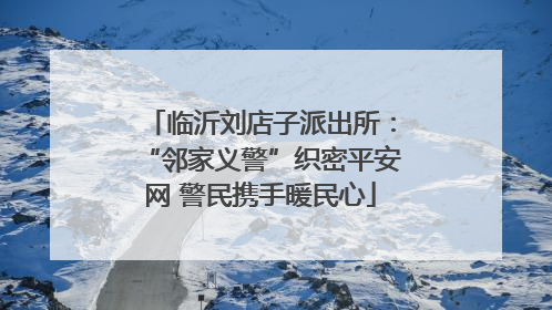 临沂刘店子派出所：“邻家义警”织密平安网 警民携手暖民心