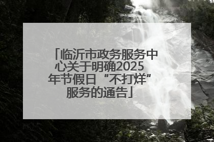 临沂市政务服务中心关于明确2025年节假日“不打烊”服务的通告