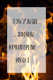 为了友谊，23国友好组织齐聚南京
