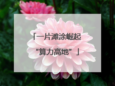 一片滩涂崛起“算力高地”