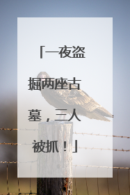 一夜盗掘两座古墓，三人被抓！