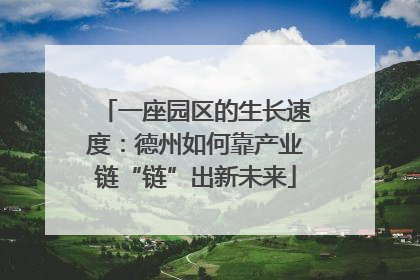 一座园区的生长速度：德州如何靠产业链“链”出新未来