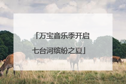 万宝音乐季开启七台河缤纷之夏